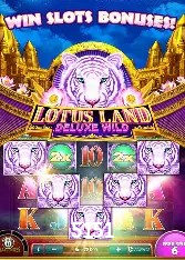 Casino Ao Vivo 5151